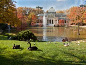 A Crystal Palace in Retiro Park, in the capital of Spain, Madrid