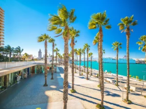Malaga city is a vibrant coastal city in Spain