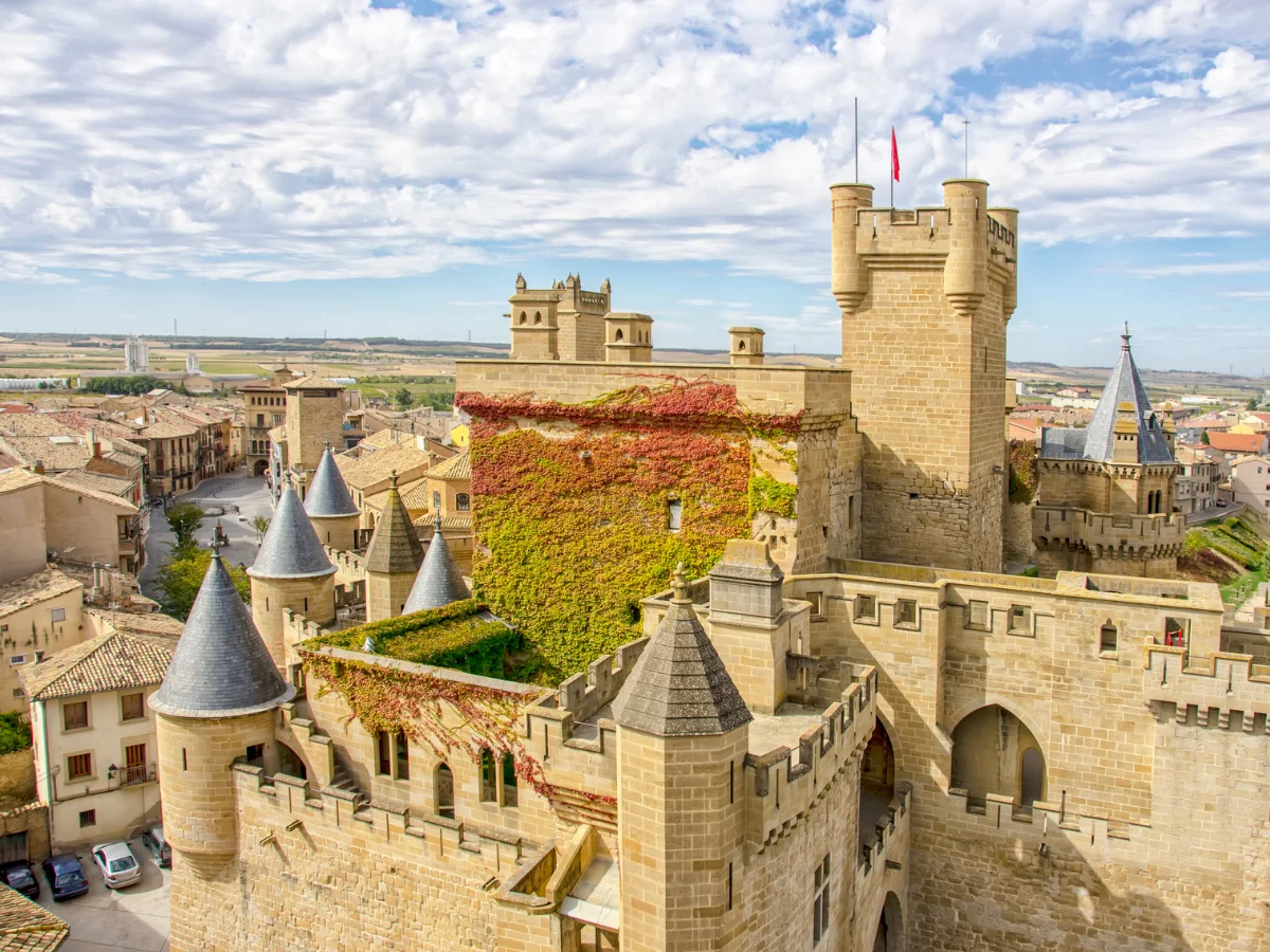 Olite Castle in Navarra