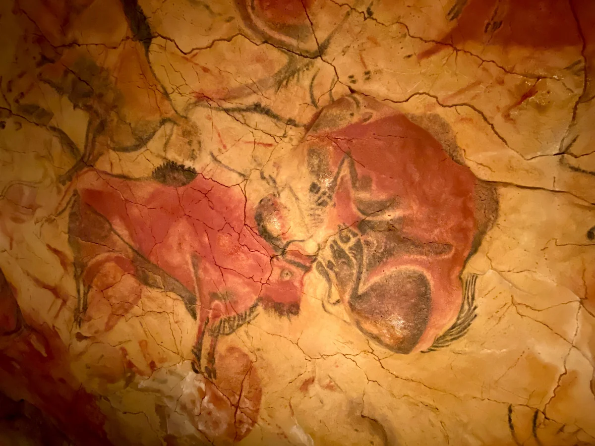 Paintings in the Altamira cave
