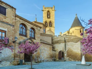 Explore the enchanting Olite in Spain's Navarra region