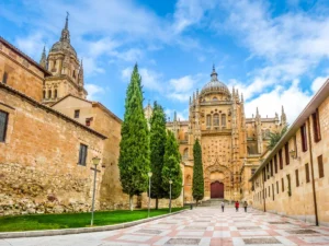 The Cathedral of Salamanca is worth visiting