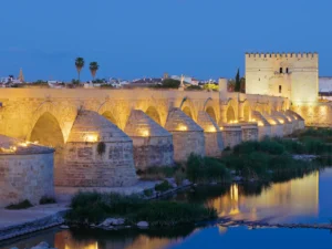The Roman Bridge in Cordoba at night