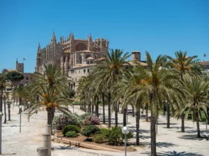 The cathedral in Palma is beautiful