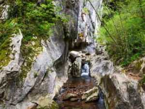 The nature around The Cave of Zugarramurdi