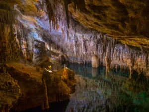 Vikar del Drac, Spain