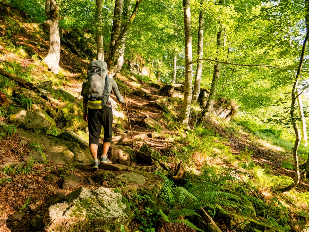 Camino de Santiago pilgrim route in Spain