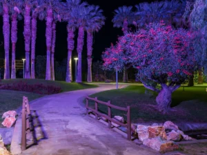 Motril is a hidden gem on Costa Tropical in Spain