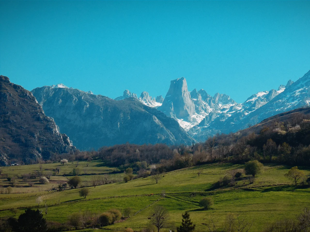 Picos de Europa National Park