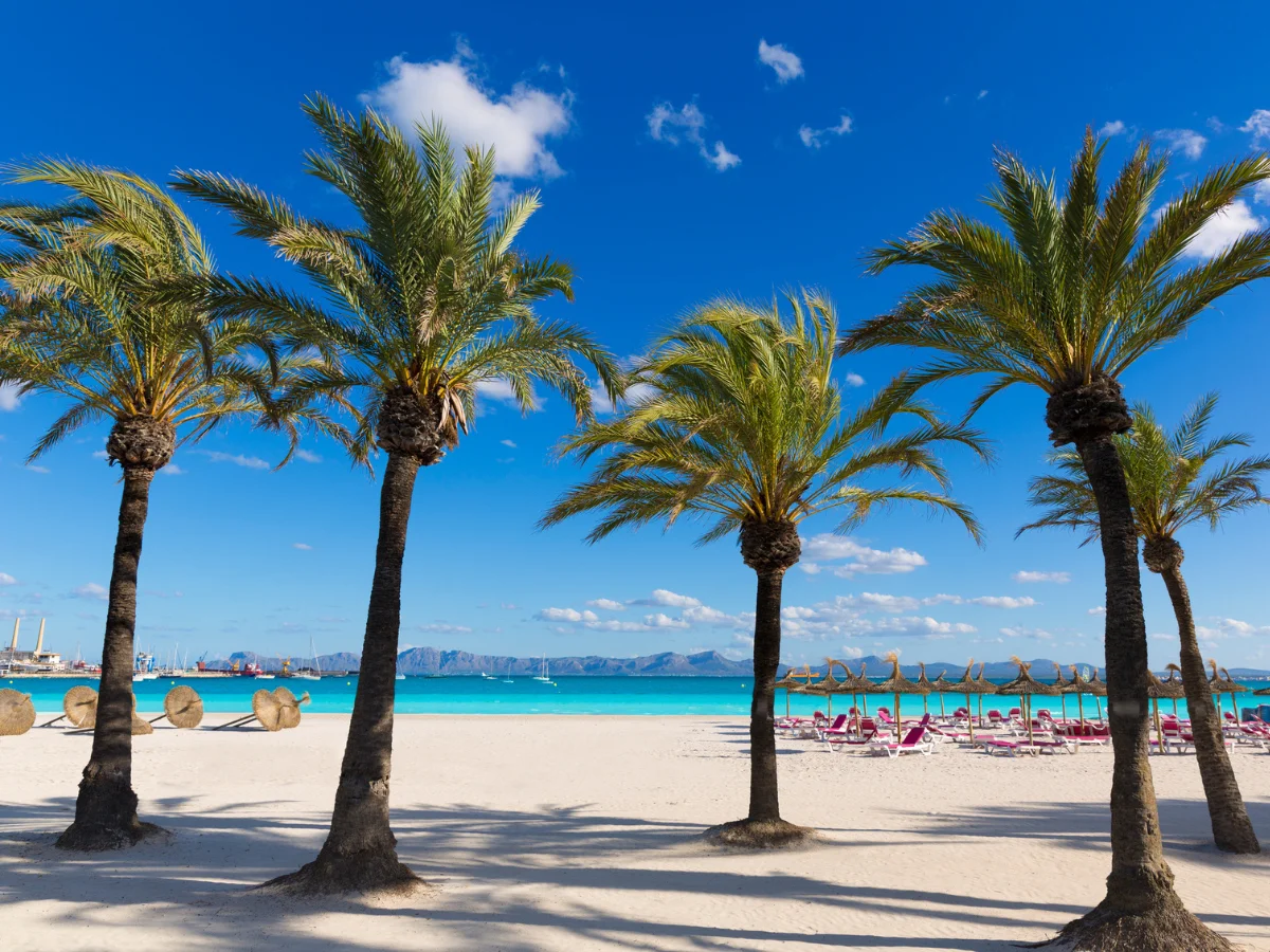 Visit the Platja de Alcudia beach on Mallorca