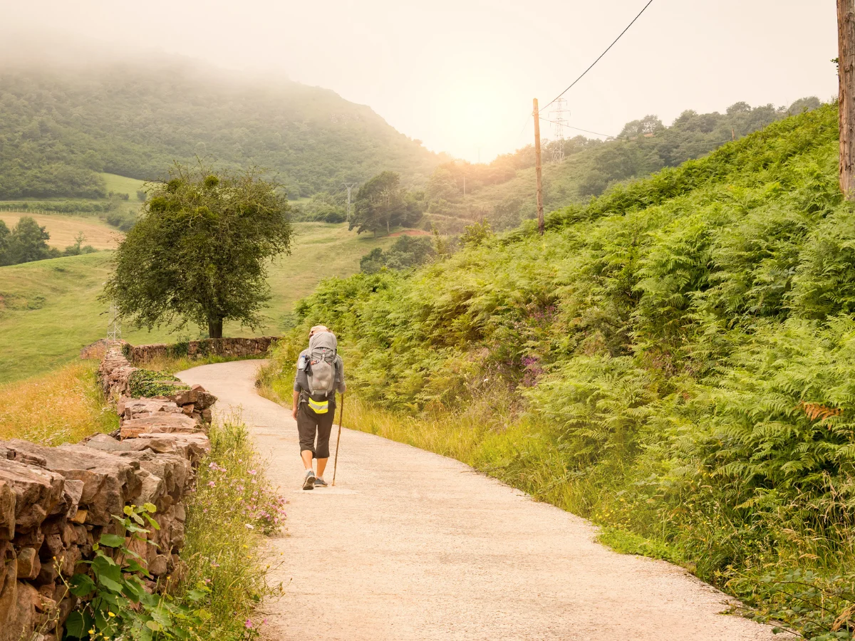 Walking on the Camino de Santiago pilgrim route