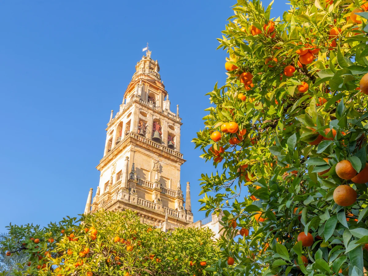 The Giralda tower in Seville was build during the Islamic period in the city
